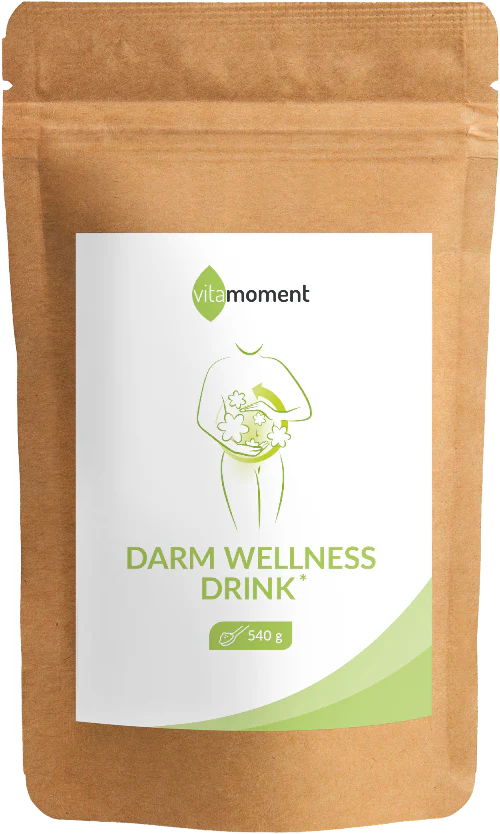 Darm-Wellness-Drink