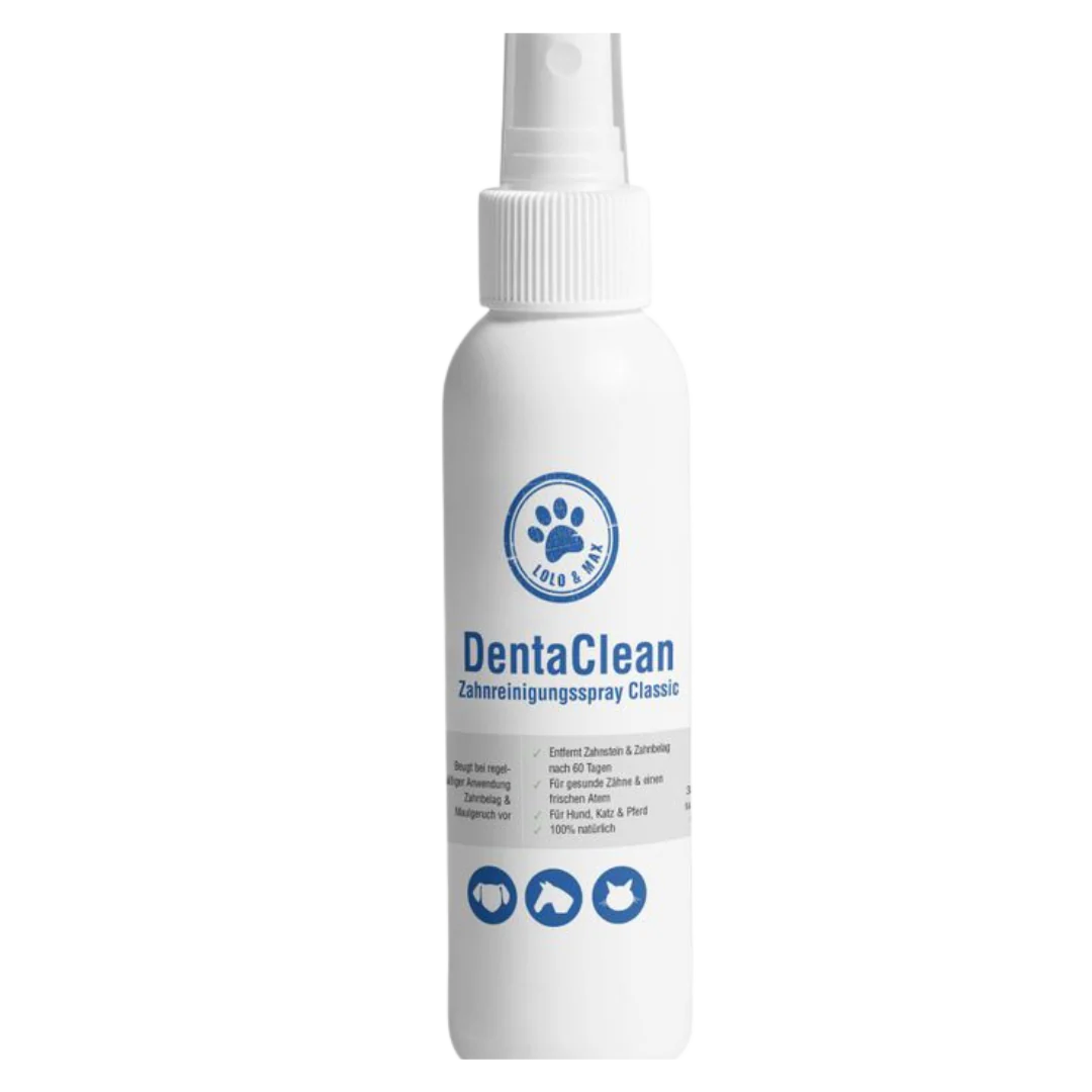 Denta Clean Zahnreinigungsspray