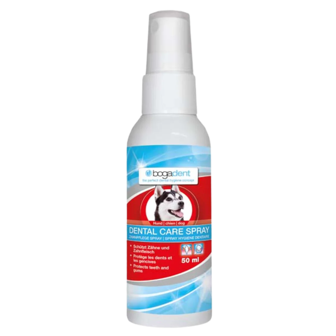 Dental Care Spray