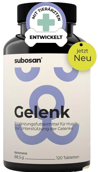 Gelenk