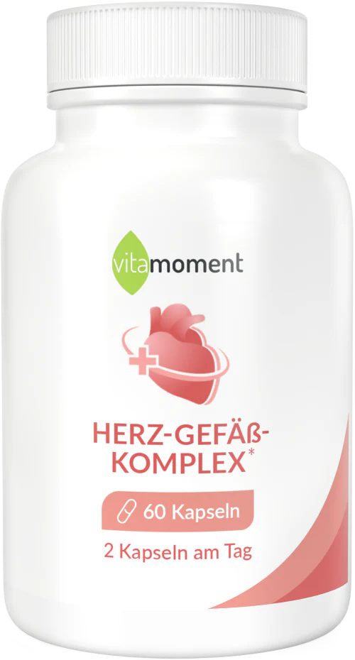 Herz-Gefäß-Komplex