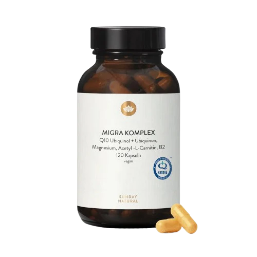 Migra Energy Komplex