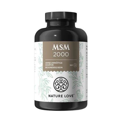 MSM 2000