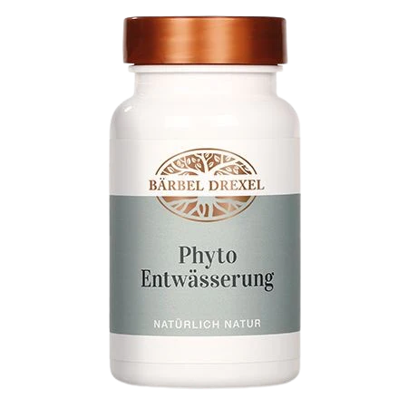 Phyto Entwässerung