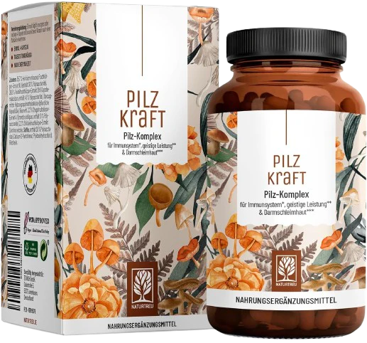 Pilzkraft