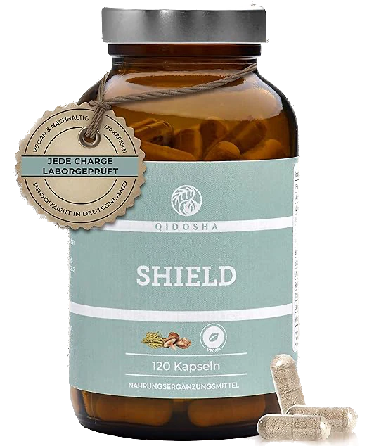 Shield