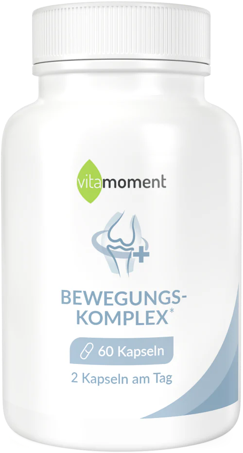 Bewegungs-Komplex