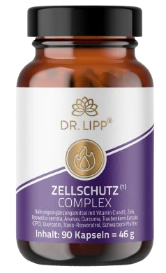 Zellschutz Complex
